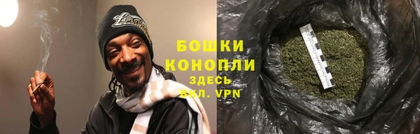 мдпв Верея