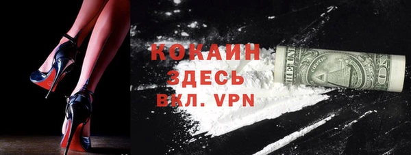 мдпв Верея