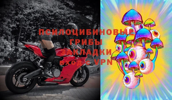 мдпв Верея