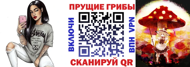 Галлюциногенные грибы прущие грибы  продажа наркотиков  Каневская 